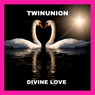 Twinunion