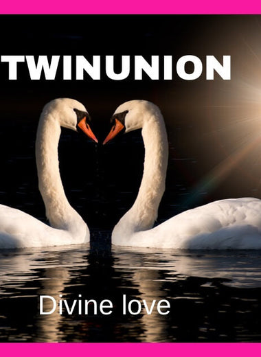 TWINUNION PRESENT KORT